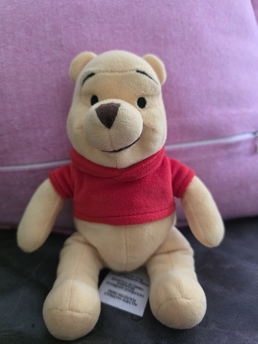 Disney Winnie the Pooh Plush